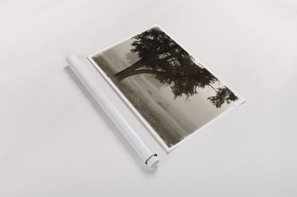 Calm Mist by Debra Van Swearingen. shown as a rolled paper print. Available as archival giclee rolled canvas, fine art paper, or poster print. SKU 23491i.