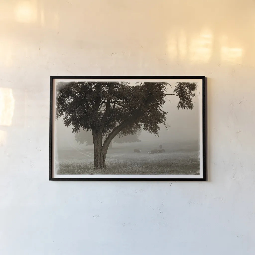 Calm Mist by Debra Van Swearingen. shown as a paper print in a black flame. Available as a archival giclee rolled canvas, fine art paper, or poster print. SKU 23491i.