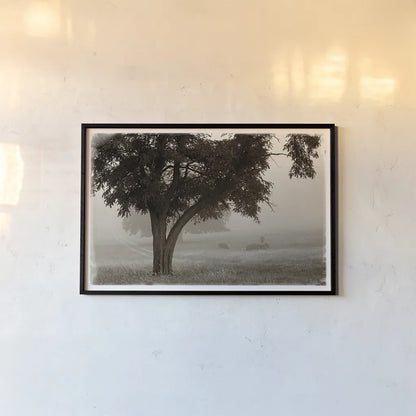 Calm Mist by Debra Van Swearingen. shown as a paper print in a black flame. Available as a archival giclee rolled canvas, fine art paper, or poster print. SKU 23491i.