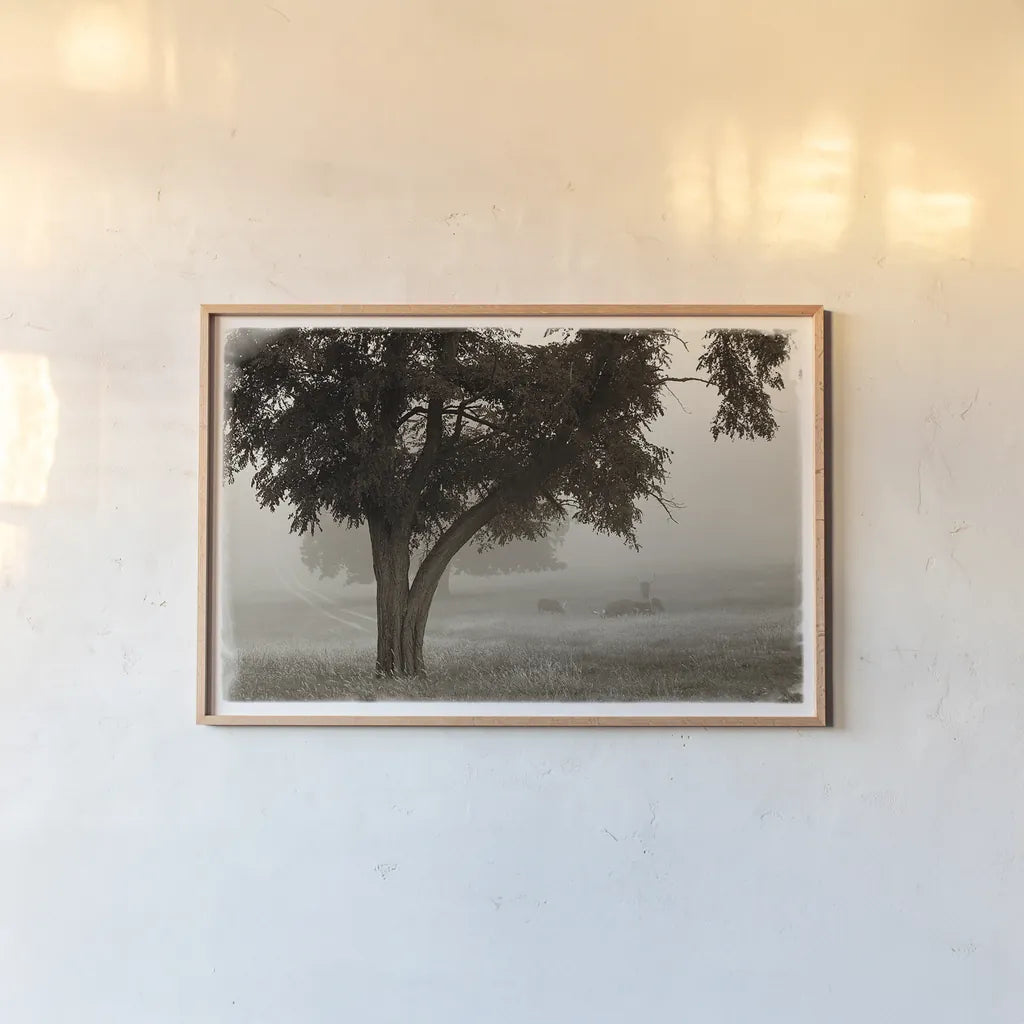 Calm Mist by Debra Van Swearingen. shown as a paper print in a natural frame. Available as a archival giclee rolled canvas, fine art paper, or poster print. SKU 23491i.