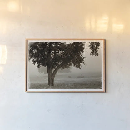 Calm Mist by Debra Van Swearingen. shown as a paper print in a natural frame. Available as a archival giclee rolled canvas, fine art paper, or poster print. SKU 23491i.