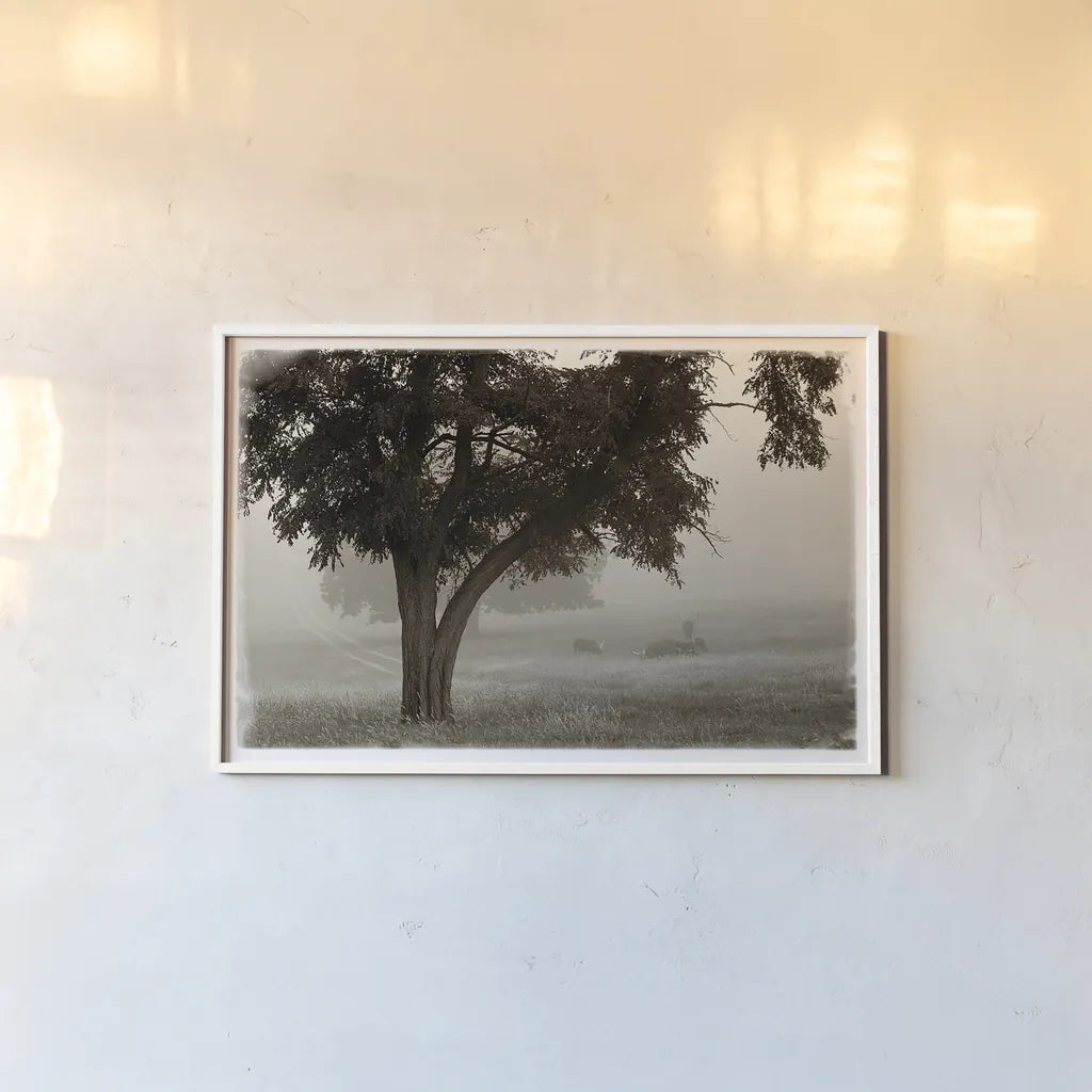 Calm Mist by Debra Van Swearingen. shown as a paper print in a white frame. Available as a archival giclee rolled canvas, fine art paper, or poster print. SKU 23491i.