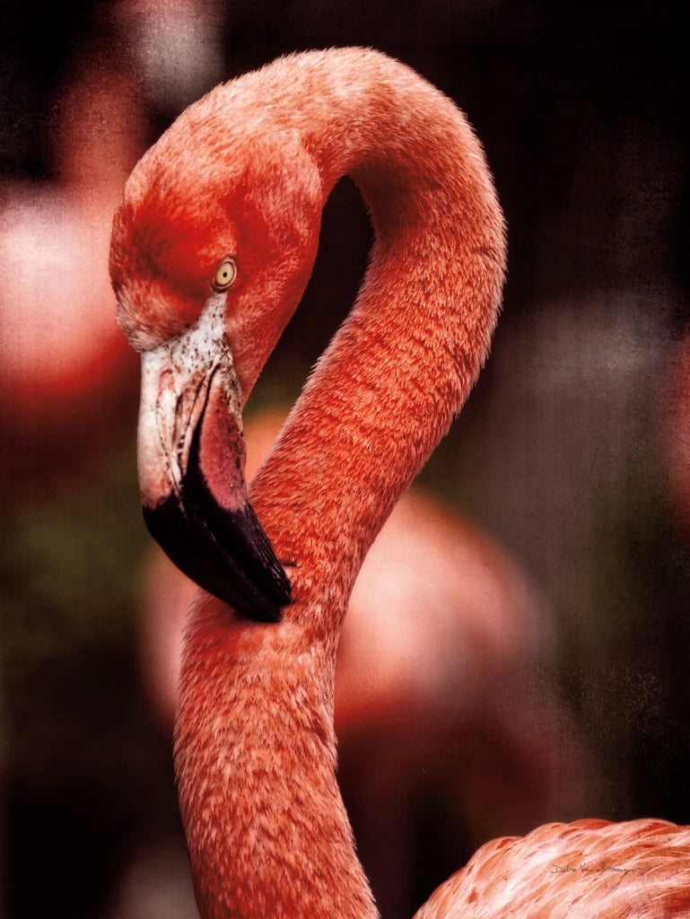 Caribbean Flamingo II by Debra Van Swearingen