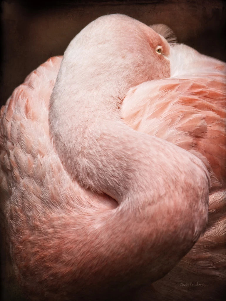Chilean Flamingo I by Debra Van Swearingen