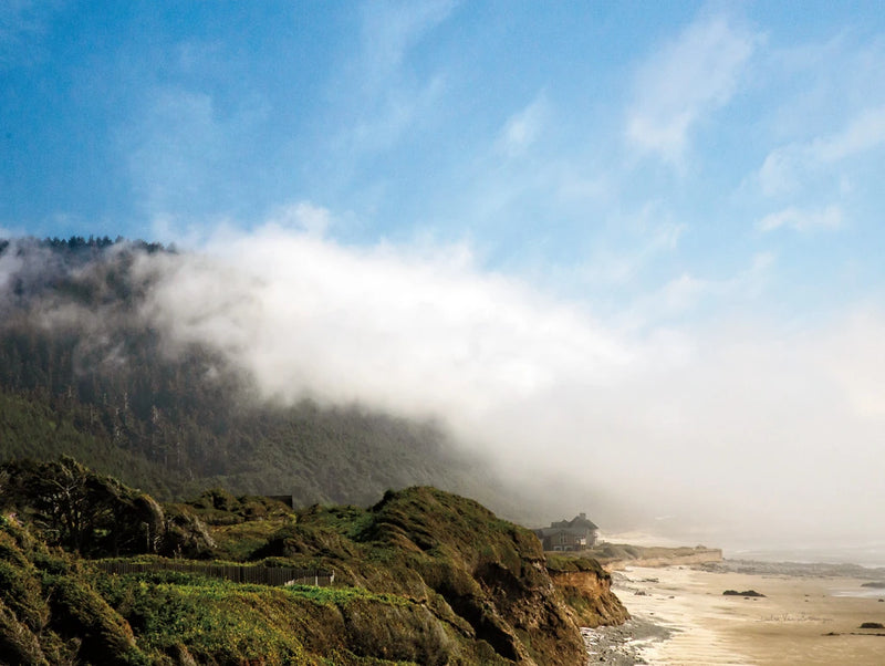 Coastal Fog by Debra Van Swearingen