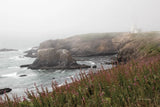 Coastal Fog II by Debra Van Swearingen. SKU 81260i. Archival Giclee Fine art print for wall decor.