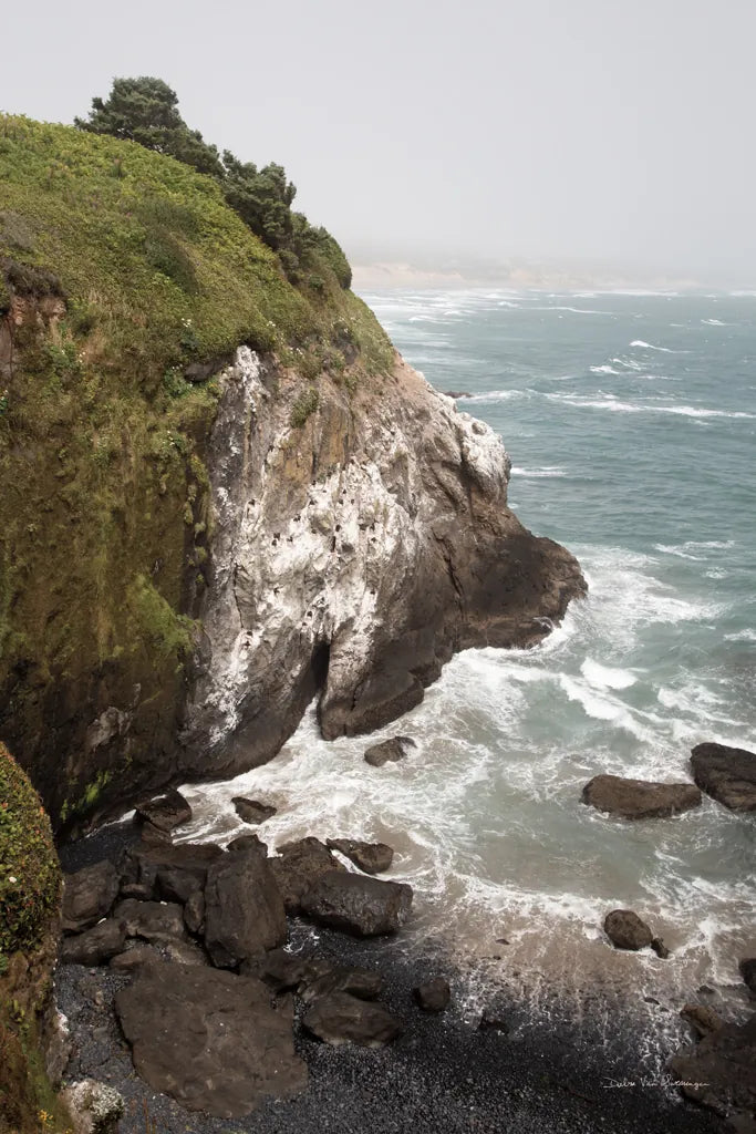 Coastal Fog III by Debra Van Swearingen. SKU 81261h. Archival Giclee Fine art print for wall decor.