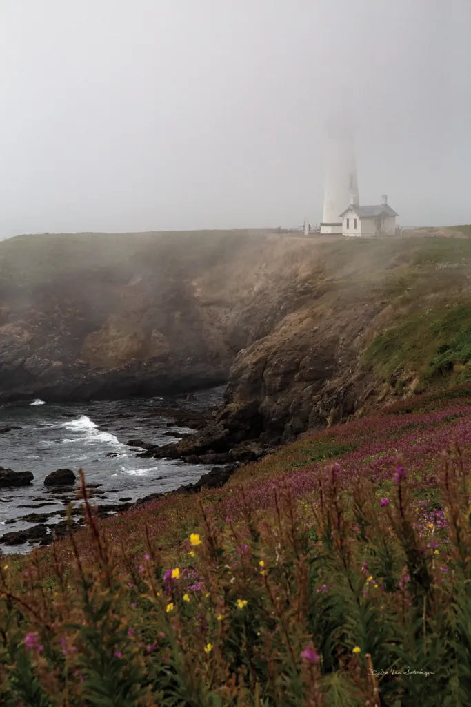 Coastal Fog IV by Debra Van Swearingen. SKU 81262h. Archival Giclee Fine art print for wall decor.