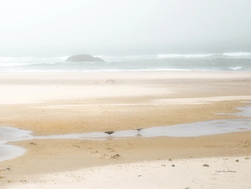 Cold Beach I by Debra Van Swearingen