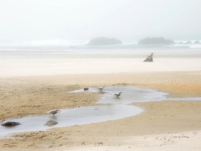 Cold Beach II by Debra Van Swearingen