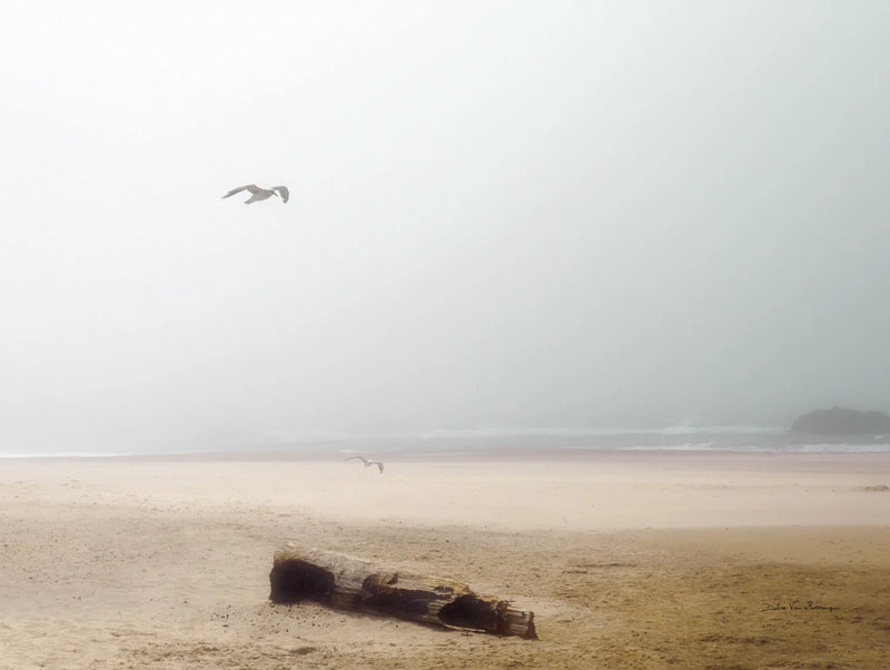 Cold Beach III by Debra Van Swearingen