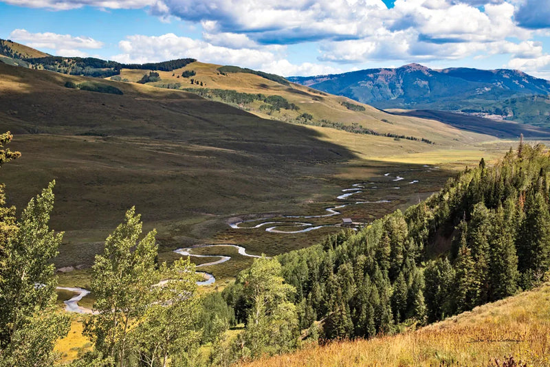 Colorado Valley by Debra Van Swearingen. SKU 82775i. Archival Giclee Fine art print for wall decor.
