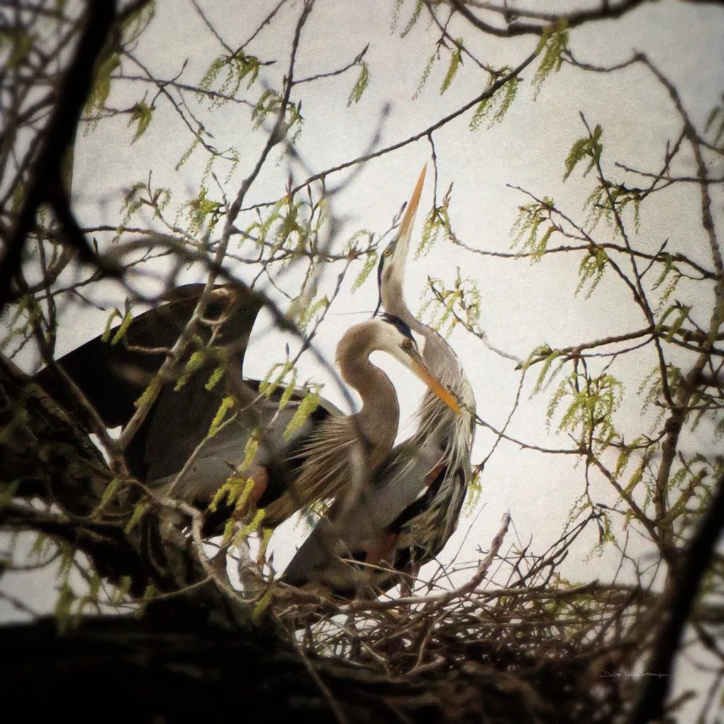 Connection by Debra Van Swearingen. SKU 63819a. Archival Giclee Fine art print for wall decor.