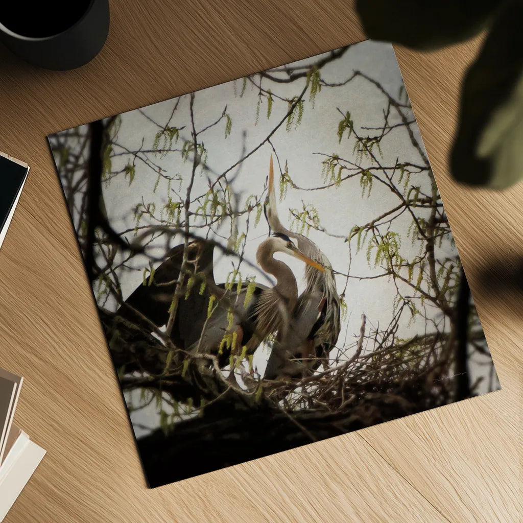 Connection by Debra Van Swearingen. Shown as a detailed flat fine art print, highlighting archival giclee quality. Available as an archival giclee rolled canvas, fine art paper, or poster print. SKU 63819a.