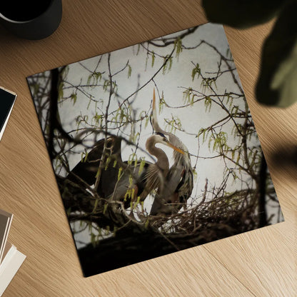 Connection by Debra Van Swearingen. Shown as a detailed flat fine art print, highlighting archival giclee quality. Available as an archival giclee rolled canvas, fine art paper, or poster print. SKU 63819a.