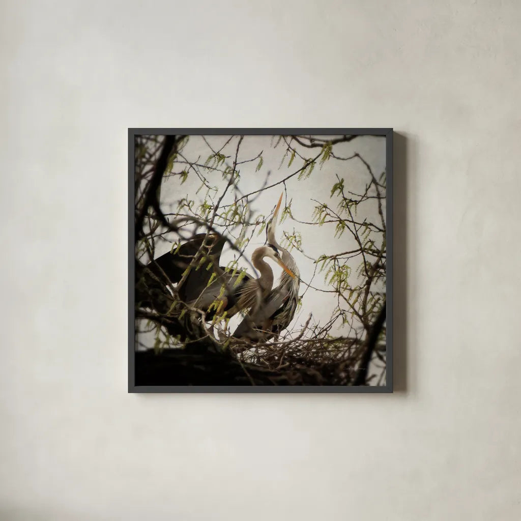 Connection by Debra Van Swearingen. Shown in a sleek black glass frame for a contemporary gallery look. Available as an archival giclee rolled canvas, fine art paper, or poster print. SKU 63819a.