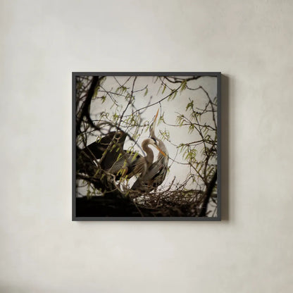 Connection by Debra Van Swearingen. Shown in a sleek black glass frame for a contemporary gallery look. Available as an archival giclee rolled canvas, fine art paper, or poster print. SKU 63819a.