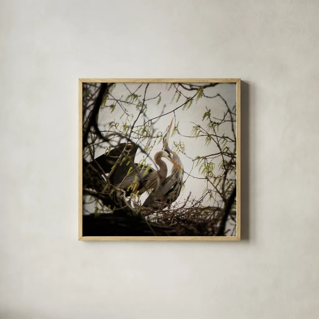 Connection by Debra Van Swearingen. Shown in a natural wood glass frame for a timeless modern aesthetic. Available as an archival giclee rolled canvas, fine art paper, or poster print. SKU 63819a.