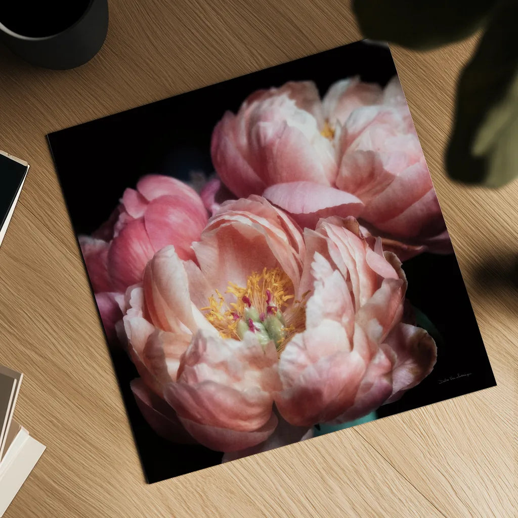Coral Peonies II by Debra Van Swearingen. Shown as a detailed flat fine art print, highlighting archival giclee quality. Available as an archival giclee rolled canvas, fine art paper, or poster print. SKU 86251a.