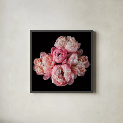 Coral Peonies III by Debra Van Swearingen. Shown in a sleek black glass frame for a contemporary gallery look. Available as an archival giclee rolled canvas, fine art paper, or poster print. SKU 86252a.