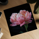 Coral Peonies IV by Debra Van Swearingen. Shown as a detailed flat fine art print, highlighting archival giclee quality. Available as an archival giclee rolled canvas, fine art paper, or poster print. SKU 86253a.