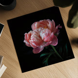 Coral Peonies V by Debra Van Swearingen. Shown as a detailed flat fine art print, highlighting archival giclee quality. Available as an archival giclee rolled canvas, fine art paper, or poster print. SKU 86254a.