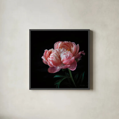 Coral Peonies V by Debra Van Swearingen. Shown in a sleek black glass frame for a contemporary gallery look. Available as an archival giclee rolled canvas, fine art paper, or poster print. SKU 86254a.