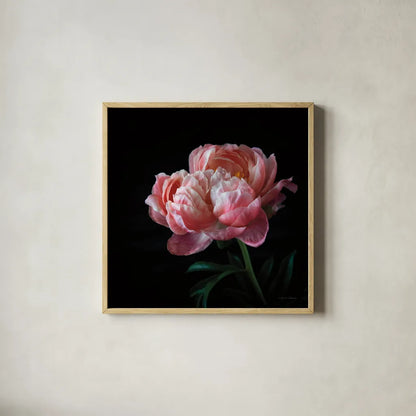Coral Peonies V by Debra Van Swearingen. Shown in a natural wood glass frame for a timeless modern aesthetic. Available as an archival giclee rolled canvas, fine art paper, or poster print. SKU 86254a.