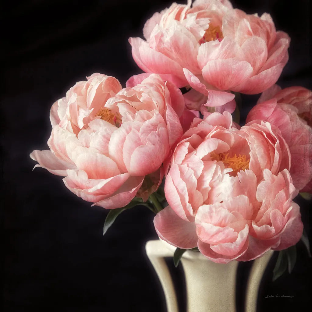 Coral Peonies VI by Debra Van Swearingen. SKU 86255a. Archival Giclee Fine art print for wall decor.