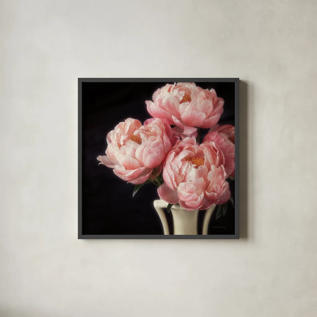 Coral Peonies VI by Debra Van Swearingen. Shown in a sleek black glass frame for a contemporary gallery look. Available as an archival giclee rolled canvas, fine art paper, or poster print. SKU 86255a.