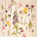 Cottage Flora I by Debra Van Swearingen. SKU 86783a. Archival Giclee Fine art print for wall decor.