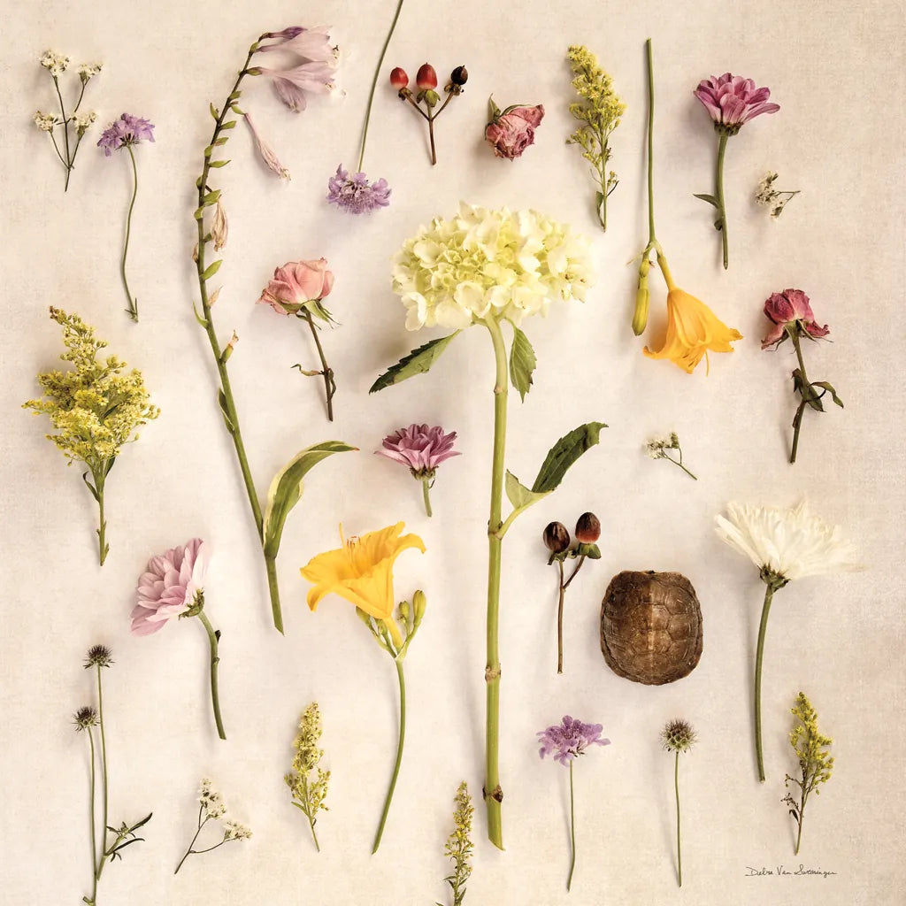 Cottage Flora II by Debra Van Swearingen. SKU 86784a. Archival Giclee Fine art print for wall decor.