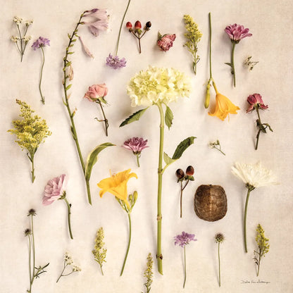 Cottage Flora II by Debra Van Swearingen. SKU 86784a. Archival Giclee Fine art print for wall decor.