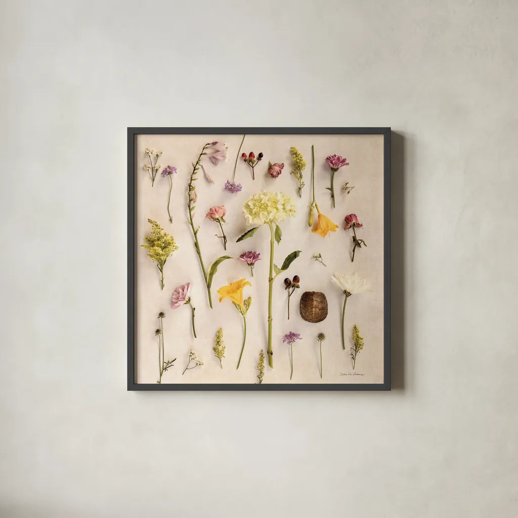 Cottage Flora II by Debra Van Swearingen. Shown in a sleek black glass frame for a contemporary gallery look. Available as an archival giclee rolled canvas, fine art paper, or poster print. SKU 86784a.
