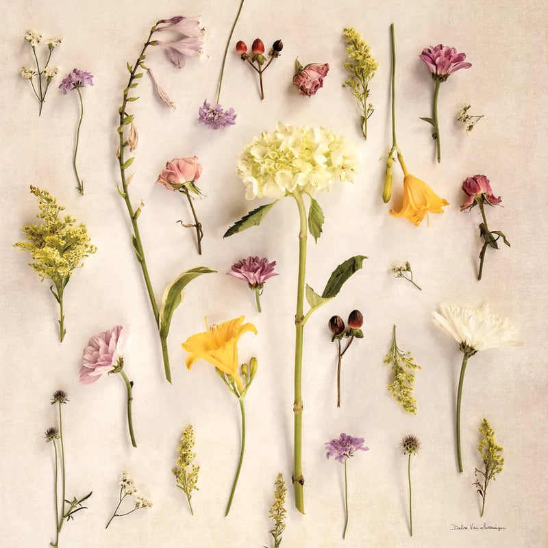Cottage Floral II No Shell by Debra Van Swearingen. SKU 87617a. Archival Giclee Fine art print for wall decor.