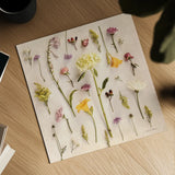Cottage Floral II No Shell by Debra Van Swearingen. Shown as a detailed flat fine art print, highlighting archival giclee quality. Available as an archival giclee rolled canvas, fine art paper, or poster print. SKU 87617a.