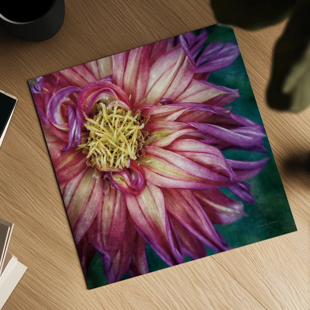 Dahlia I by Debra Van Swearingen. Shown as a detailed flat fine art print, highlighting archival giclee quality. Available as an archival giclee rolled canvas, fine art paper, or poster print. SKU 63777a.