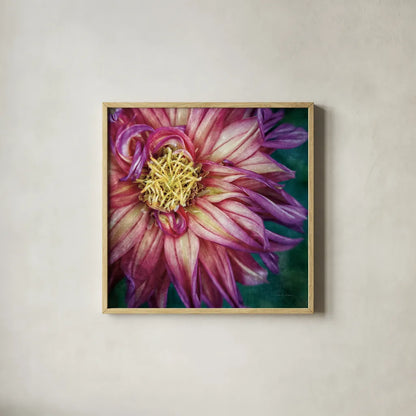 Dahlia I by Debra Van Swearingen. Shown in a natural wood glass frame for a timeless modern aesthetic. Available as an archival giclee rolled canvas, fine art paper, or poster print. SKU 63777a.