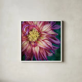 Dahlia I by Debra Van Swearingen. Shown in a crisp white glass frame for a clean and minimalist style. Available as an archival giclee rolled canvas, fine art paper, or poster print. SKU 63777a.