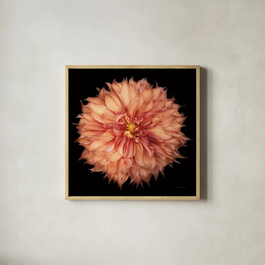 Dahlia I by Debra Van Swearingen. Shown in a natural wood glass frame for a timeless modern aesthetic. Available as an archival giclee rolled canvas, fine art paper, or poster print. SKU 89716a.