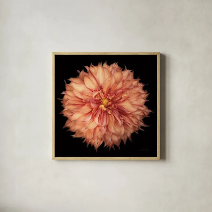 Dahlia I by Debra Van Swearingen. Shown in a natural wood glass frame for a timeless modern aesthetic. Available as an archival giclee rolled canvas, fine art paper, or poster print. SKU 89716a.