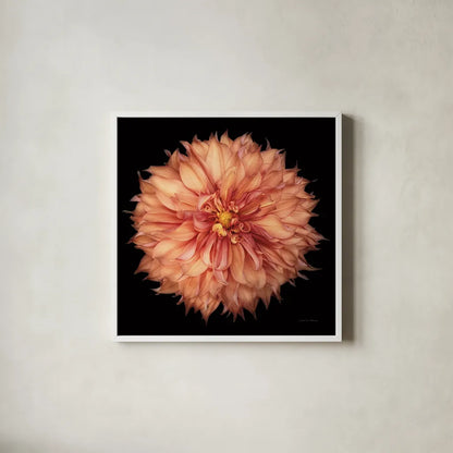Dahlia I by Debra Van Swearingen. Shown in a crisp white glass frame for a clean and minimalist style. Available as an archival giclee rolled canvas, fine art paper, or poster print. SKU 89716a.