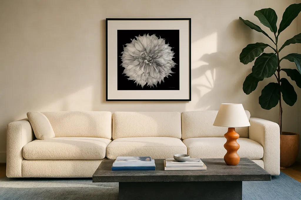 Dahlia I BW by Debra Van Swearingen. Displayed in a glass frame with matte in a clean modern living room. Available as an archival giclee rolled canvas, fine art paper, or poster print. SKU 89722a.
