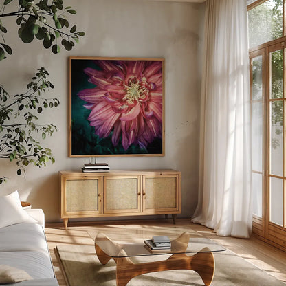 Dahlia II by Debra Van Swearingen. Shown in a natural wood frame in a cozy modern living room. Available as an archival giclee rolled canvas, fine art paper, or poster print. SKU 63778a.