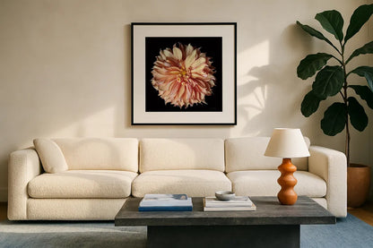 Dahlia II by Debra Van Swearingen. Displayed in a glass frame with matte in a clean modern living room. Available as an archival giclee rolled canvas, fine art paper, or poster print. SKU 89717a.