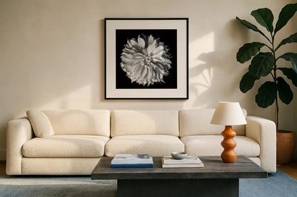 Dahlia II BW by Debra Van Swearingen. Displayed in a glass frame with matte in a clean modern living room. Available as an archival giclee rolled canvas, fine art paper, or poster print. SKU 89723a.