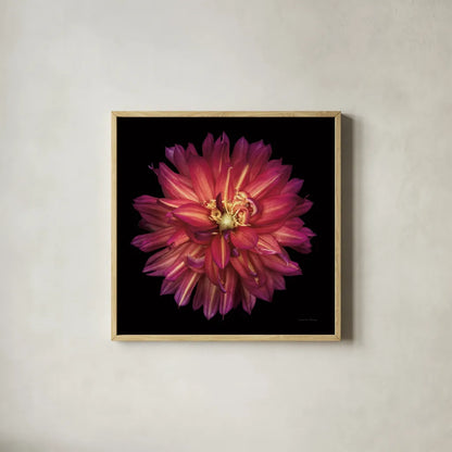 Dahlia III by Debra Van Swearingen. Shown in a natural wood glass frame for a timeless modern aesthetic. Available as an archival giclee rolled canvas, fine art paper, or poster print. SKU 89718a.