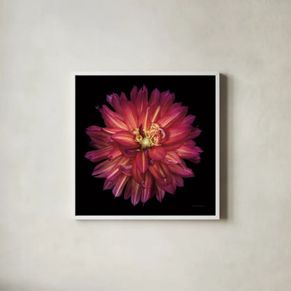 Dahlia III by Debra Van Swearingen. Shown in a crisp white glass frame for a clean and minimalist style. Available as an archival giclee rolled canvas, fine art paper, or poster print. SKU 89718a.
