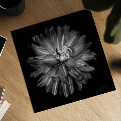 Dahlia III BW by Debra Van Swearingen. Shown as a detailed flat fine art print, highlighting archival giclee quality. Available as an archival giclee rolled canvas, fine art paper, or poster print. SKU 89724a.