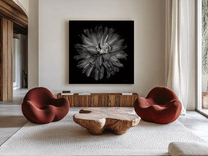 Dahlia III BW by Debra Van Swearingen. Shown as extra-large giant wall art in a modern living room. Available as an archival giclee rolled canvas, fine art paper, or poster print. SKU 89724a.